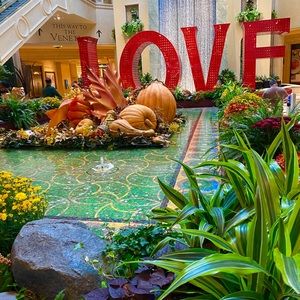 Meet your Posher, Julie